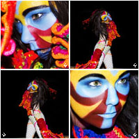 bjork live